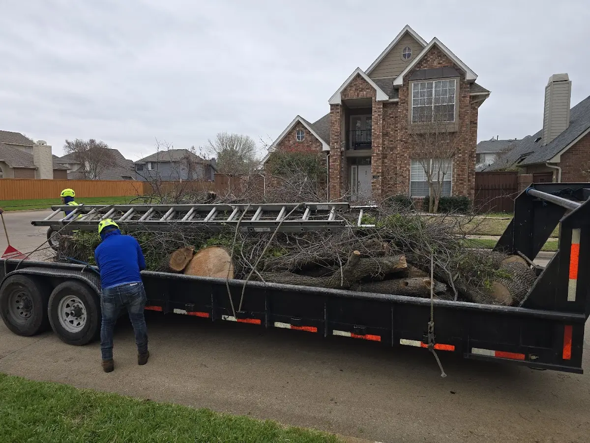 Expert Tree Removal with proper safety equipment in Pickens